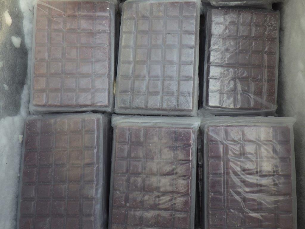 インドネシア産冷凍赤虫５枚セット