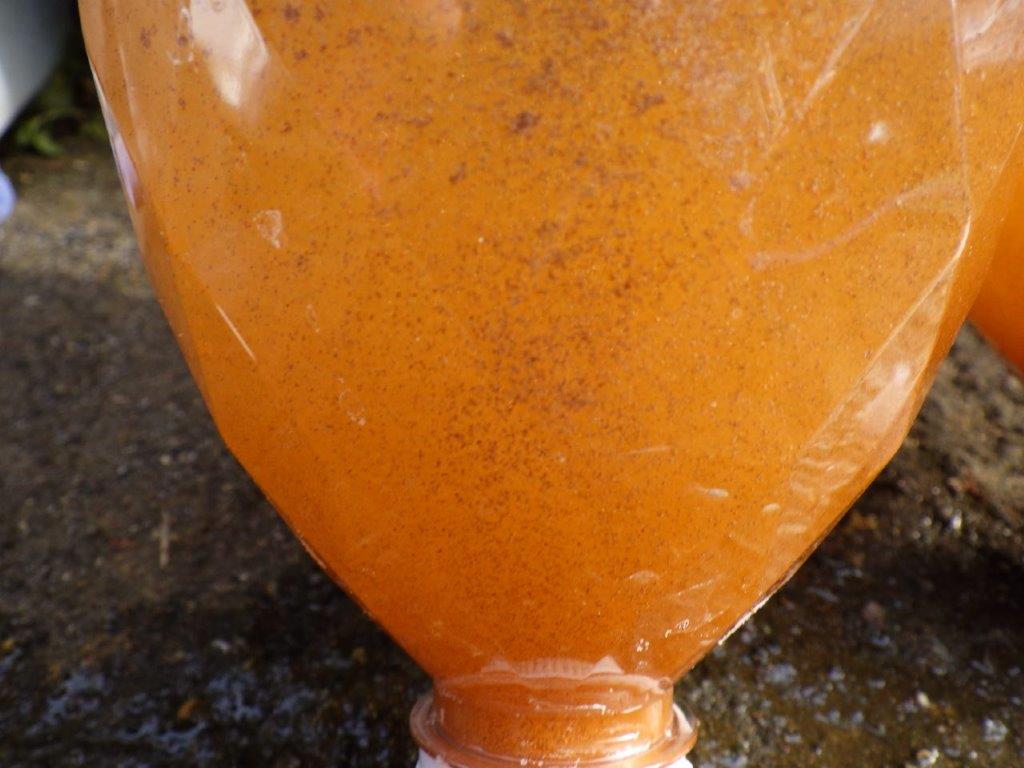 沸きすぎ注意！ブラインシュリンプ４５４ｇ　孵化率９０％以上