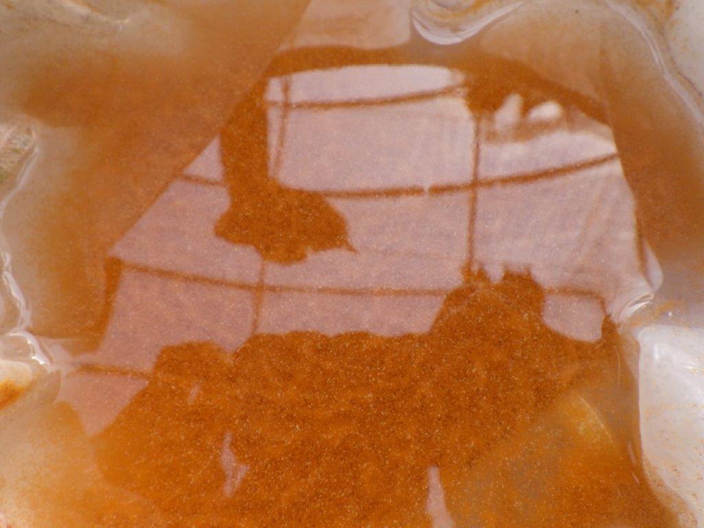 沸きすぎ注意！ブラインシュリンプ４５４ｇ　孵化率９０％以上