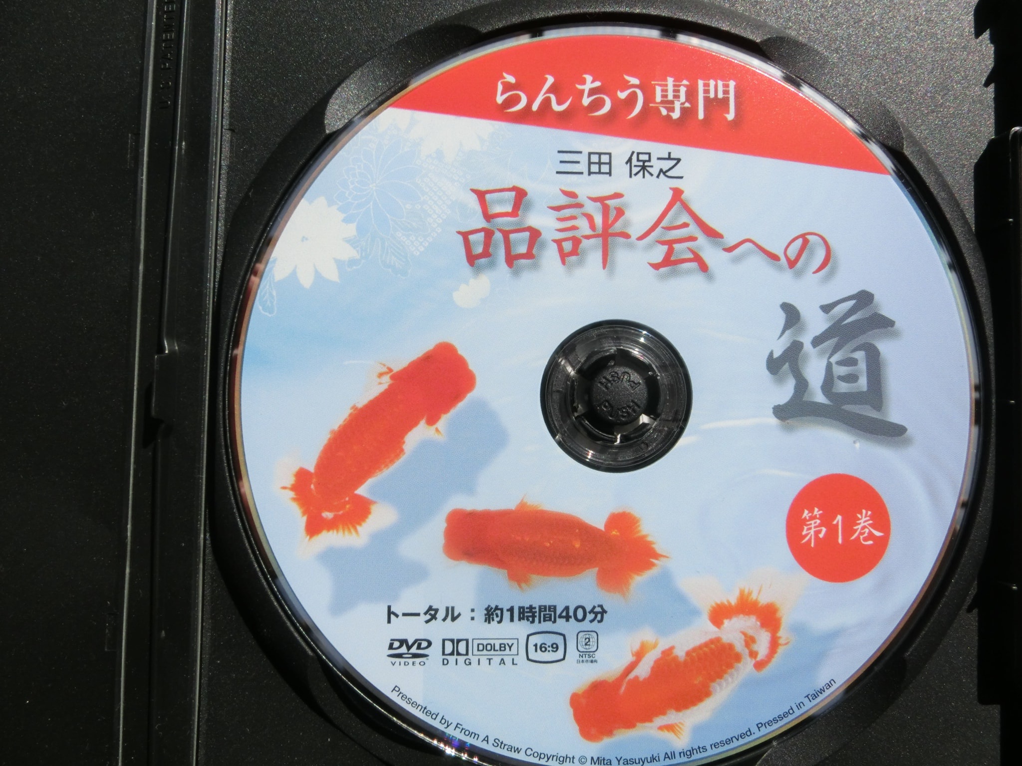 らんちう専門　三田　保之　品評会への道　DVD　第一巻