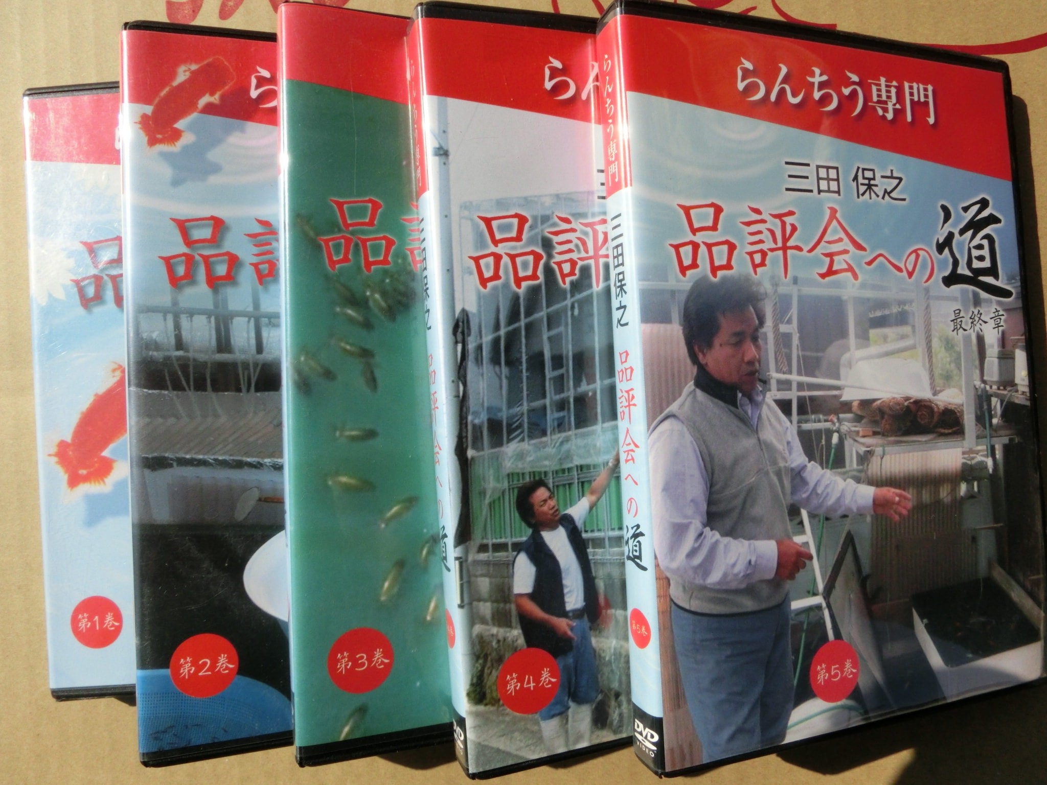 らんちう専門　三田　保之　品評会への道　DVD　第一巻