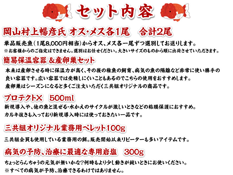 はじめてのらんちゅう産卵セット第一弾！2024年に向けて系統魚で仔引きにチャレンジできます