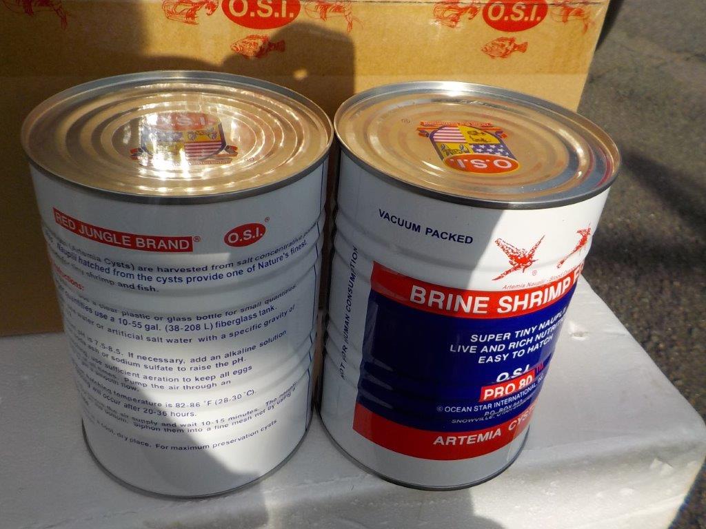 ブラインシュリンプ454g 孵化率90%以上