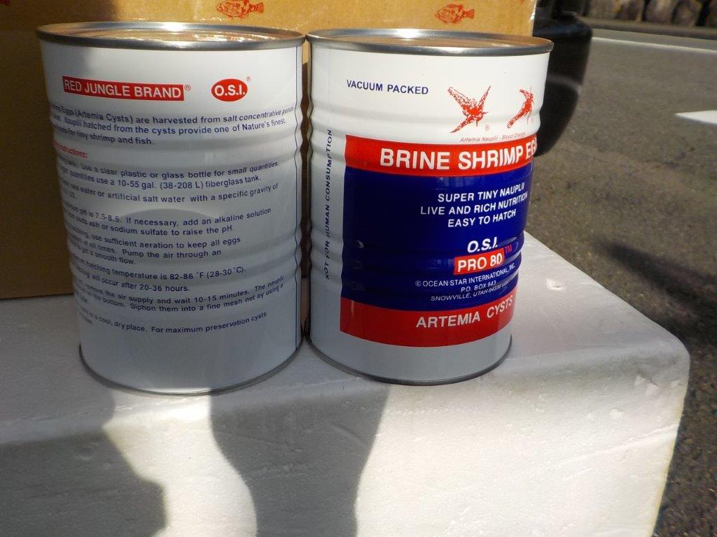 ブラインシュリンプ454g 孵化率90%以上